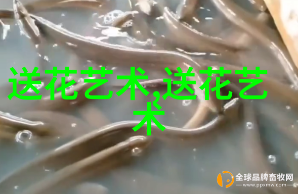 花束创意让你爱的人惊喜不断的订花小技巧